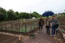 Killygoan Allotments