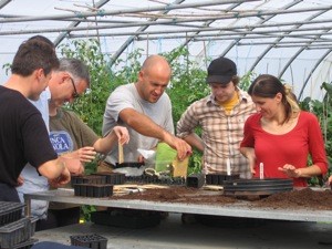 Participants getting hands-on practice in the polytunnel while on an organic gardening course at the Organic Centre, Co Leitrim 