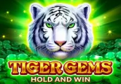 Tiger Gems slot